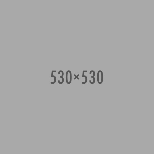 Pariatur desktop publish package